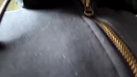 Snapshot of anonomousloser chatting on January 6, 2025, 2:36 pm anonomousloser online show from January 6, 2025, 2:36 pm