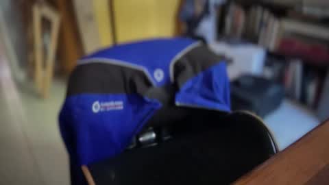 ansal1001 online show from April 23, 2026, 12:29 pm