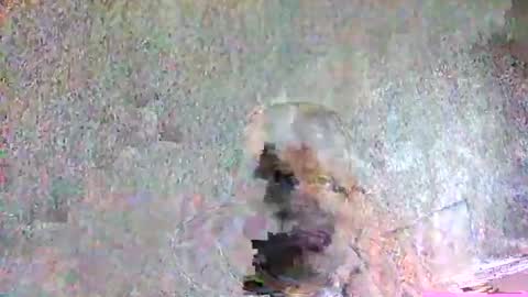 ansem1143 online show from April 5, 2026, 2:14 pm