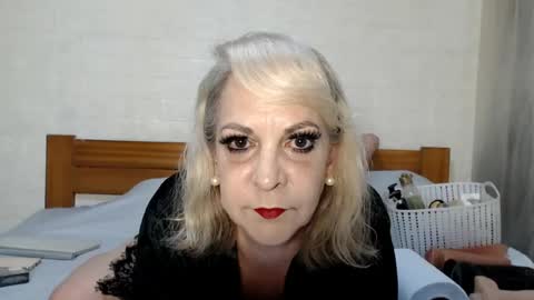 ANY CAT online show from June 16, 2026, 9:23 am