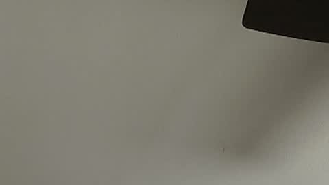 anydaynow2024 online show from December 15, 2025, 5:39 pm