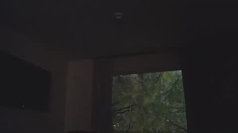 Daddy online show from November 5, 2025, 1:38 am