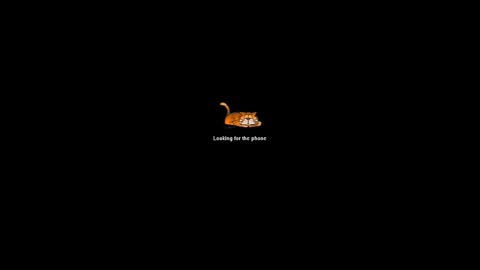 anziglov11 online show from December 14, 2024, 10:45 am