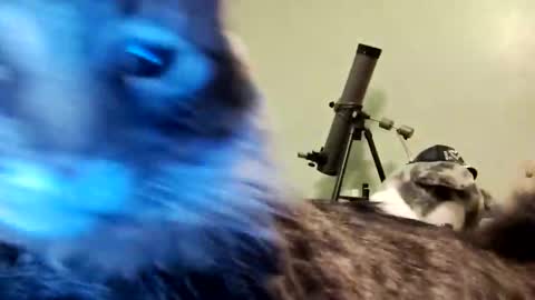 Snapshot of aphrodite60 chatting on January 12, 2025, 6:28 am Aphrodite60 online show from January 12, 2025, 6:28 am