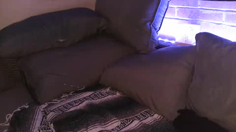 Shy Happy Pair online show from September 25, 2025, 7:56 am