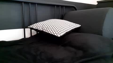 apollobest77 online show from February 10, 2026, 2:43 pm