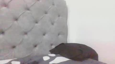 apoloblackbig online show from February 19, 2025, 8:41 pm