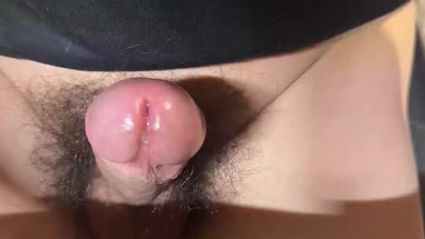 apple2761 online show from April 1, 2026, 1:41 pm