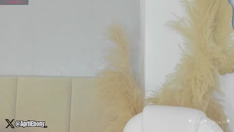 Snapshot of april_ebony18_ chatting on July 2, 2026, 10:43 am April online show from July 2, 2026, 10:43 am