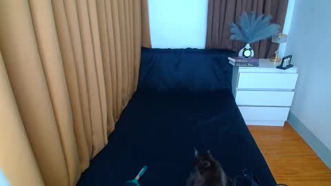Snapshot of arabella_califa chatting on March 9, 2025, 12:21 am ARABELLA online show from March 9, 2025, 12:21 am
