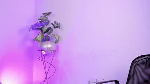   online show from January 19, 2025, 8:29 am