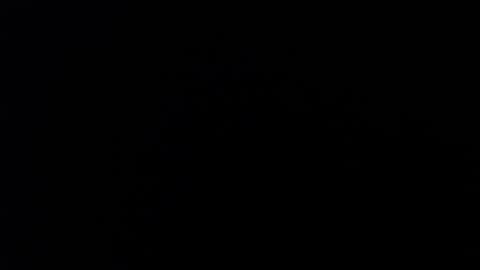 ARIANNA  online show from February 14, 2026, 1:46 am