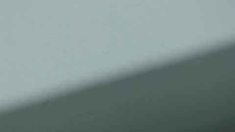 Snapshot of ariadna_6 chatting on October 20, 2025, 3:29 am ...Ariana... online show from October 20, 2025, 3:29 am