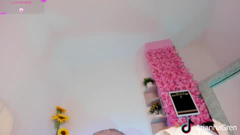 Arianna online show from December 23, 2024, 7:20 pm