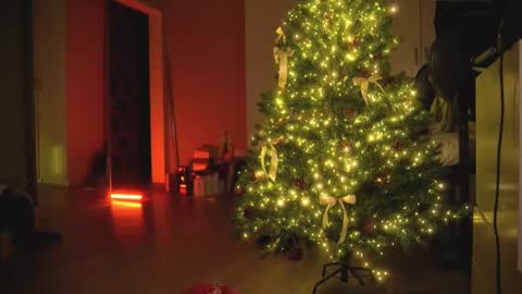 Snapshot of arianna_richi chatting on December 30, 2024, 5:48 am Olivka online show from December 30, 2024, 5:48 am