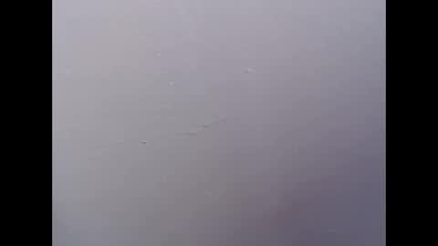 ariannaloovel online show from April 27, 2026, 5:55 pm