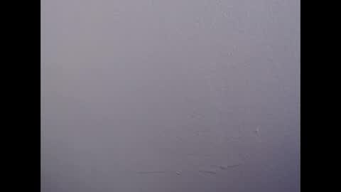 ariannaloovel online show from April 28, 2026, 10:04 pm