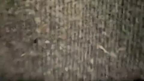 airskiii online show from January 6, 2025, 4:26 am