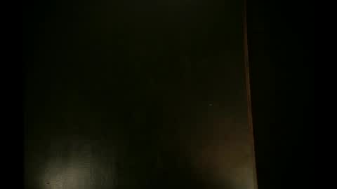 Snapshot of artystyczny chatting on May 20, 2026, 1:45 am artystyczny online show from May 20, 2026, 1:45 am