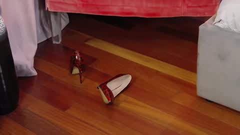 Aryana online show from September 29, 2025, 5:34 am