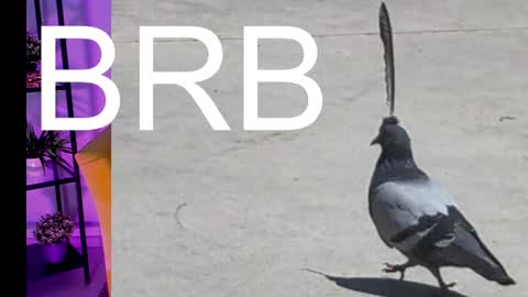 AshleyAshe  online show from March 7, 2025, 5:08 am