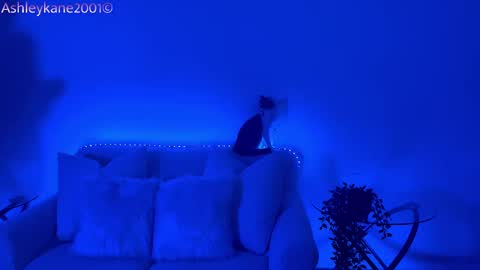 Snapshot of ashleykane2001 chatting on January 20, 2025, 4:54 am Ashley online show from January 20, 2025, 4:54 am