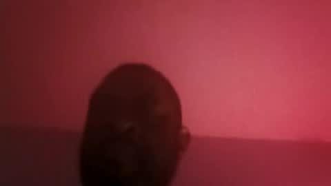 assetr69aldy online show from April 19, 2026, 6:46 am