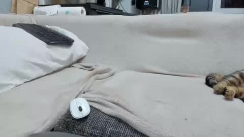 Snapshot of asshunnter chatting on December 2, 2025, 4:57 pm MARCO online show from December 2, 2025, 4:57 pm