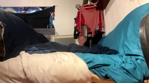 Snapshot of assilem277 chatting on January 27, 2025, 10:06 pm danni travis online show from January 27, 2025, 10:06 pm