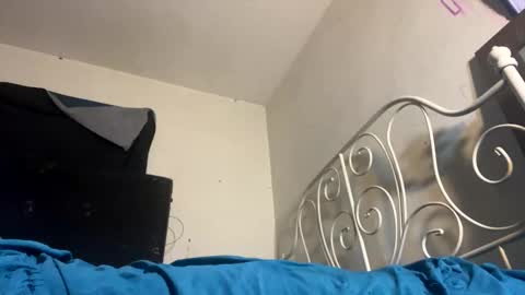 Snapshot of assilem277 chatting on February 8, 2025, 9:13 am danni travis online show from February 8, 2025, 9:13 am