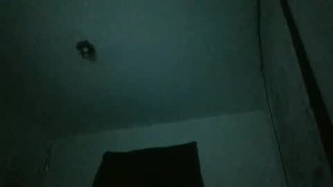 Snapshot of assilem277 chatting on February 23, 2025, 7:44 am danni travis online show from February 23, 2025, 7:44 am