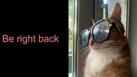 Astra  online show from February 17, 2025, 10:40 am