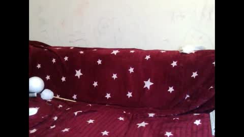 AsyaLu online show from January 16, 2025, 1:04 pm