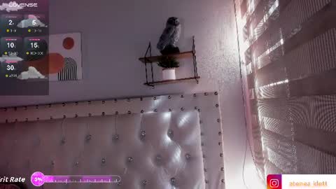 Snapshot of atenea_klett_ chatting on June 22, 2026, 2:14 pm ATENEA online show from June 22, 2026, 2:14 pm