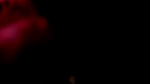 Monii Yi online show from February 20, 2026, 6:26 am