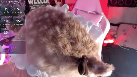 Aurora Channn online show from November 27, 2025, 10:34 pm