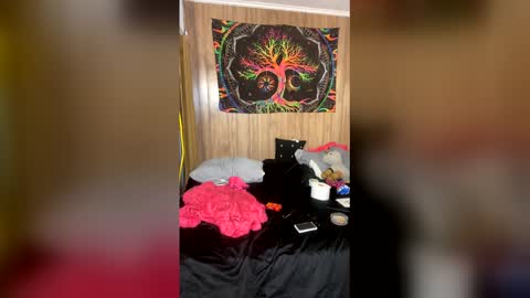 Destiny Nicole online show from May 30, 2026, 2:08 am