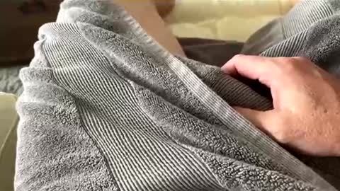 Aussie fatcock online show from April 5, 2026, 12:52 am