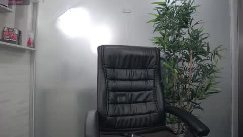    online show from February 7, 2026, 12:20 pm