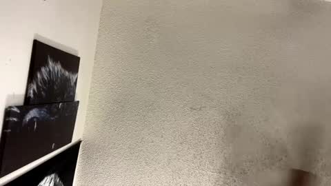 Lily  Orion online show from February 5, 2025, 1:37 am