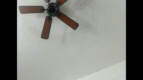 Lily  Orion online show from February 13, 2025, 1:19 am