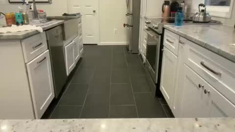 avgdiver online show from March 23, 2026, 11:14 am