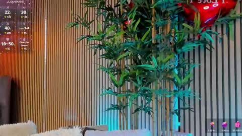 AVRILL CYRUX online show from February 18, 2025, 1:22 pm