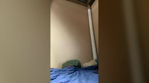 Axell online show from April 5, 2026, 1:52 pm