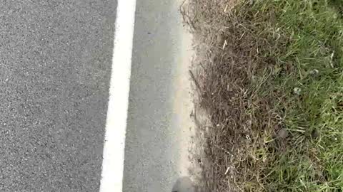 Snapshot of ayla_ty chatting on March 15, 2026, 8:15 pm AylaTy online show from March 15, 2026, 8:15 pm