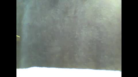 b1gg9inch online show from January 20, 2025, 11:02 am