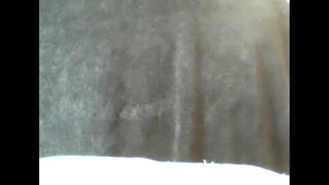 b1gg9inch online show from February 15, 2025, 10:55 am