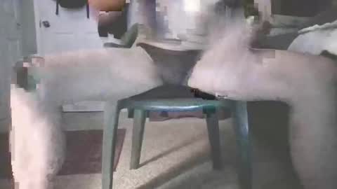 bjohnson420 online show from November 16, 2025, 8:42 am