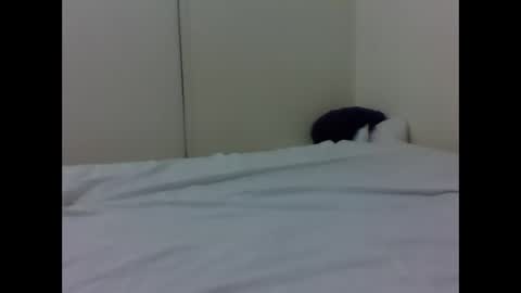 Snapshot of baby_lucky35865 chatting on April 26, 2026, 4:37 pm needoh online show from April 26, 2026, 4:37 pm