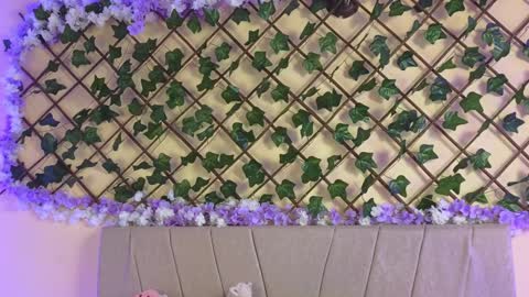 Snapshot of baby_xian chatting on December 19, 2024, 2:45 am Dani online show from December 19, 2024, 2:45 am